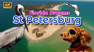 Florida Dreams - St Petersburg & St Pete Beach