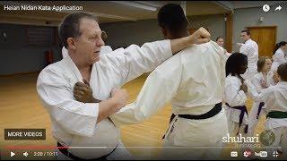 Heian Nidan Oyo / Bunkai Kata Application