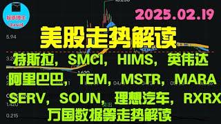 2月20日，美股即时走势解读，特斯拉、超威电脑、HIMS、英伟达、TEM、阿里巴巴、OXY、MSTR、MARA、SERV、SOUN、理想汽车、万国数据、RXRX等 ️️ #美股推荐2025