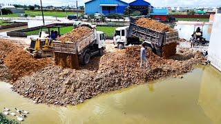 Wonderful Small Project!! Small Bulldozer Pushing Soil With Small Dump Trucks Loading into Water