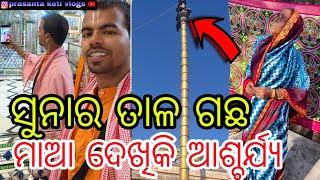 ସୁନାର ତାଳ ଗଛ ମାଆ ଦେଖିକି ଆଶ୍ଚର୍ଯ୍ୟ || Prasanta Keti Vlogs ||