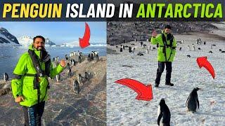 Penguin Island in ANTARCTICA  !!!