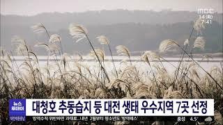 대청호 추동습지 등 대전 생태 우수지역 7곳 선정/대전MBC