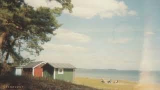 Its afternoon and u're walking around the neighborhood | playlist
