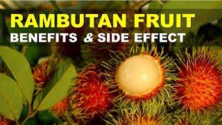 Rambutan Fruit Benefits and Side Effects, Rambutan Rich in Nutrients and Antioxidants