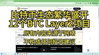 比特币生态繁花盛开12个BTC Layer2项目介绍