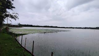 This Barish Must Stop Now... Flooded Tripura | We Must Pray |