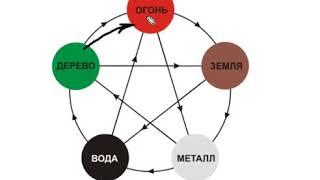 Доступный Бацзы#8 - проблемы с желудком