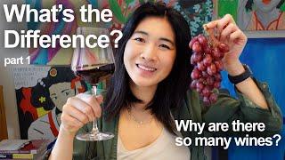 What makes a Wine Different?  - Crash Course on Wine Part 1