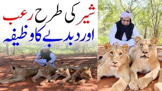 Sher Ki Tarah Rob Aur Dabade Ka Wazifa By Peer Iqbal Qureshi