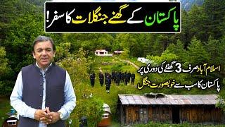 Explore Beauty of Sharan Forest & Manshi Top Meadows in Mansehra District | Paharon Ka Safar