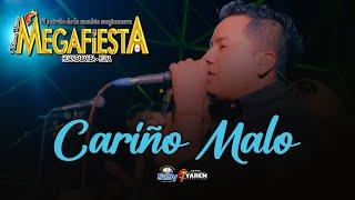 CARIÑO MALO - MEGAFIESTA OFICIAL - EN VIVO 2022