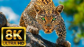 WORLD OF ANIMALS 8K (60FPS) ULTRA HD – Animals Around The Planet with REAL Nature Sounds