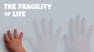 The Fragility of Life - Nothing Lasts Forever