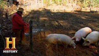 Mountain Men: Bonus: Feeding the Future (S5, E9) | History