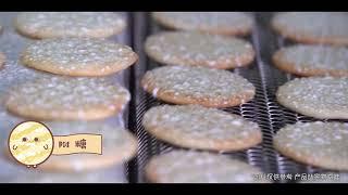 Fun Facts About Want-Want Factories: Shelly Senbei Rice Crackers旺旺工厂趣揭秘之旺旺雪饼️