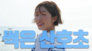 폄하니 썩은 산호초