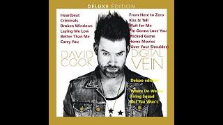 David Cook - Digital Vein Full Album (Deluxe Version)