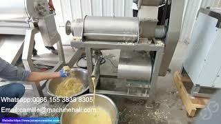 Ginger Juice Extractor Extraction Machine Philippines