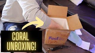 Coral Unboxing from Odd Animal!