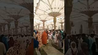 madina live today now 2025