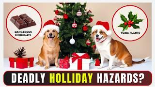 22 Common Holidays DANGERS for Dogs and Cats | Holiday Safety Tips for Dogs and Cats