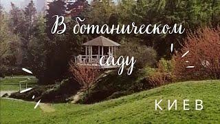  Ботанический Сад: Расслабление в Оазисе Зелени/ Ботанический сад им. Гришко
