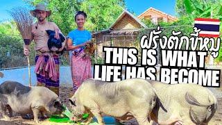 Thai Wife, Rural Thailand Life & Things Have Really Gone To Sh*t..  #ฝรั่งบ้านนอก