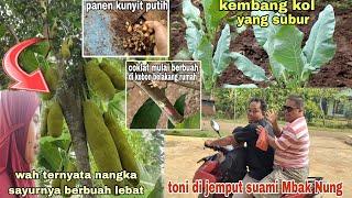 Riview tanamanku di kebon menyenangkan || Toni di jemput suami Mbak Nung ⁉️