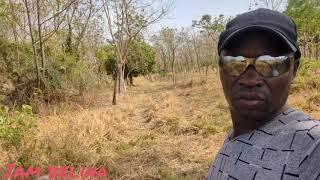 serious farmer here in the village kahama Tanzania