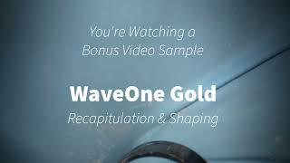 WaveOne Gold: Ride the Wave to Shaping Excellence