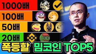 밈코인 불장 이제서야 시작이라고? 곧 1,000%이상 폭등할 밈코인 추천 TOP5