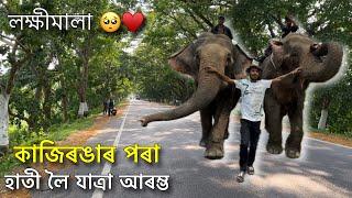 কাজিৰঙাত লক্ষীমালা ঢুকাল ? - Journey starts from Kaziranga 