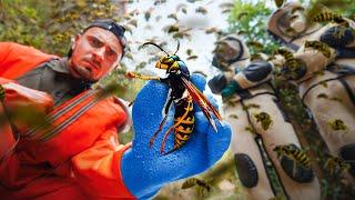 Inside the World of Chinese Deadly Hornet Hunters