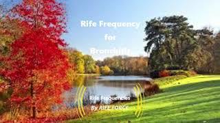 Bronchitis - Rife Frequency