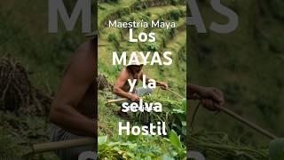 ¿Cómo los MAYAS prosperaron en una selva hostil?