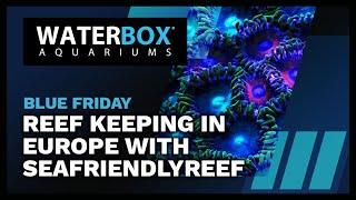 Reef Keeping in Europe with SeaFriendlyReef