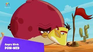Angry Birds Toons RTL Kockica AD | 9-11-21