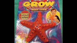 Starfish Magic Grow Mega Grow