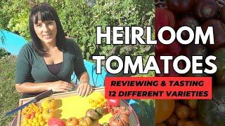 Heirloom Tomatoes: Taste Testing 12 Different Varieties #garden #tomato #gardeningtips #urbangarden