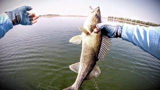 Early Spring Walleyes — Fishing Edge TV