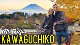 We rented bikes to see MT. FUJI, JAPAN!  (AMAZING fall colors in Kawaguchiko!)