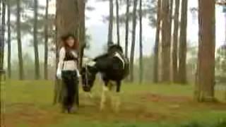 yeu chang dep trai.vu tram anh(nhac tuyen chon)