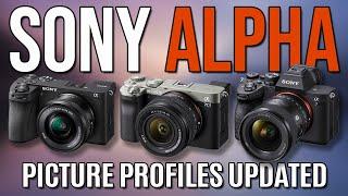 SONY A6700 , A7Cii , A7IV PICTURE PROFILES EXPLAINED