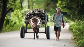 भारत: दुनिया के अंत में चक्कर आना | सबसे ख़तरनाक यात्राएँ