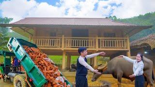 How To Build Wooden House - Join wooden panels for the wall - Off The Grid | Thanh Hien Daily Life