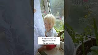 воспоминания. Херсонщина. || Ежевичный сад