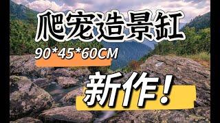 爬寵缸造景，爬寵造景，爬蟲造景，2023年新作