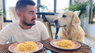 Spaghetti Eating Competition: My Golden Retriever Dog vs. Me