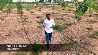 MANAGED FARM LAND BY DARVI GROUP